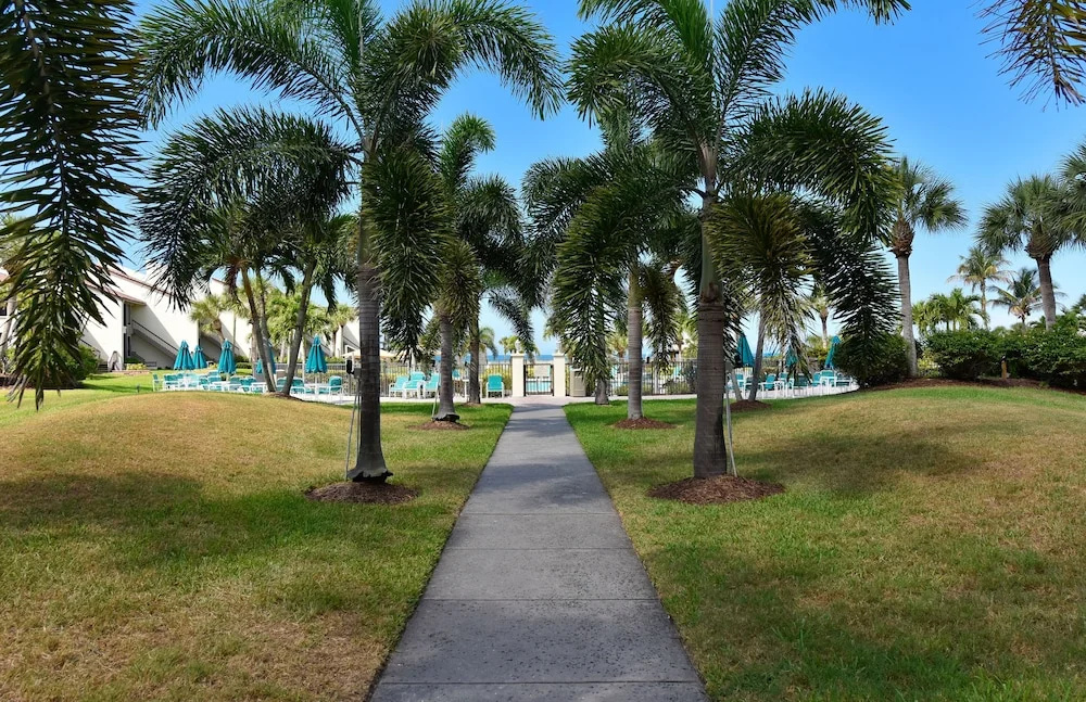 photo 1 of Siesta Dunes
