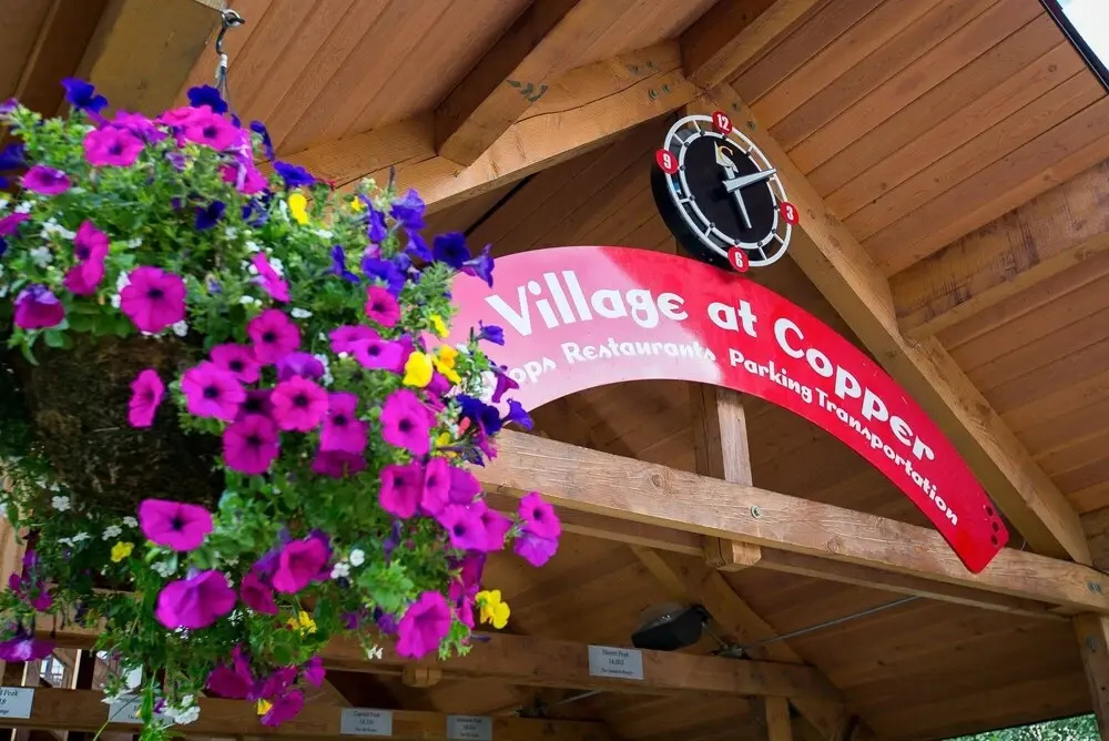photo 1 of Spacious, Mountain Chic, Close to Ski Lift 1 bedroom - TM316 by Redawning