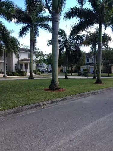 photo 1 of Speedway Blvd Townhouse