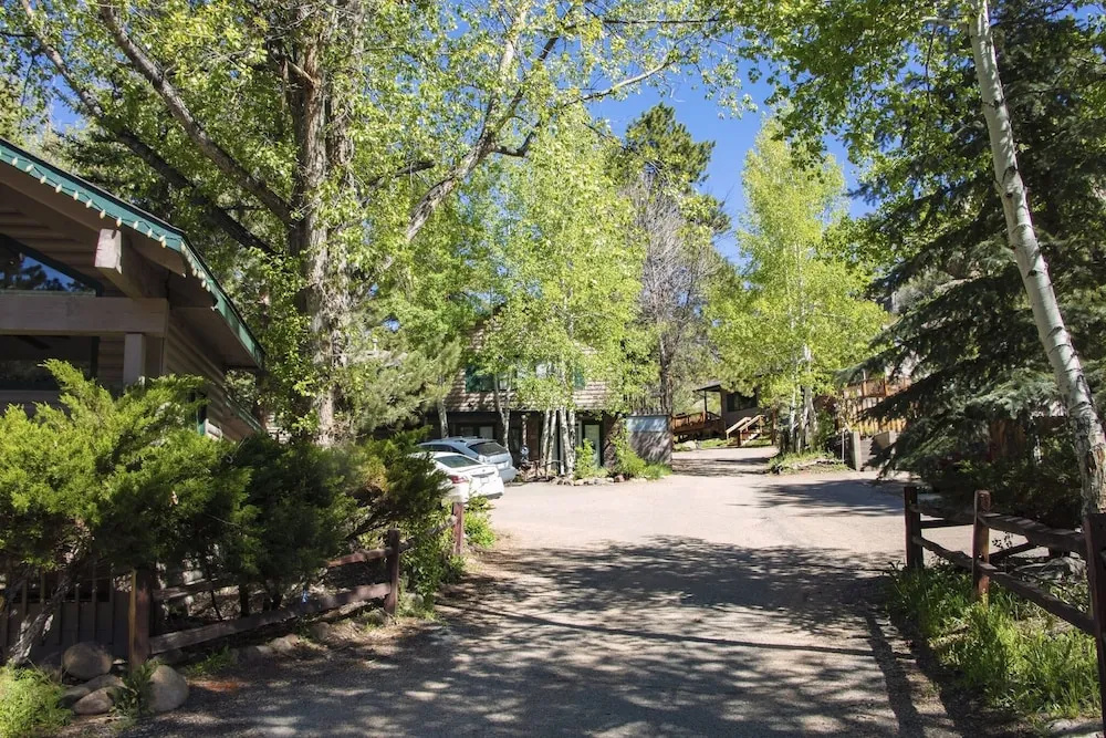 photo 1 of Sunnyside Knoll: 7 1 Bedroom Cabin