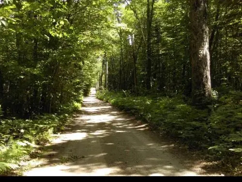 photo 1 of Tentrr - Pondwood Pines in Wonalancet