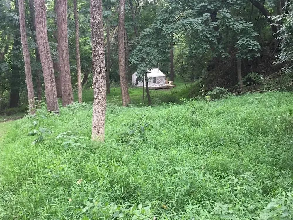 photo 1 of Tentrr - Sycamore Hill Farm Creekside
