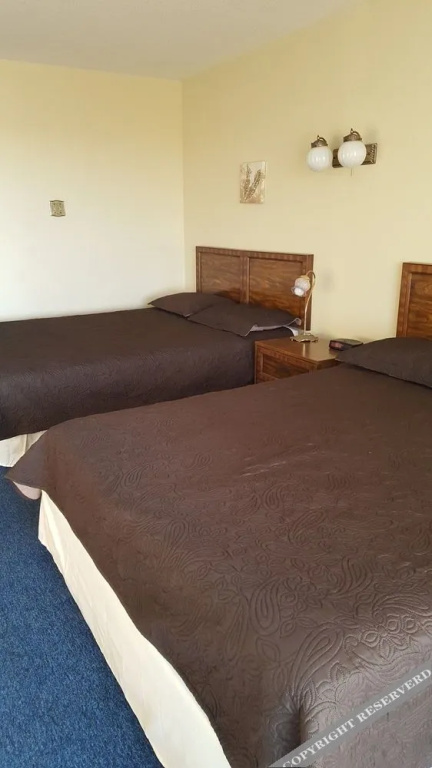 photo 1 of The Bluebird Lodge