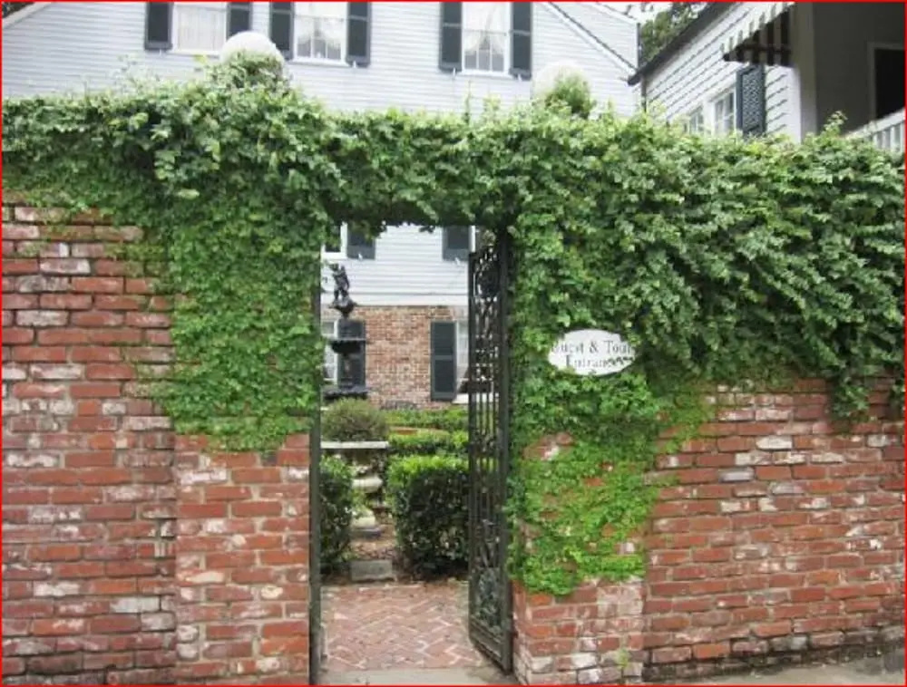 photo 1 of The Burn Bed and Breakfast