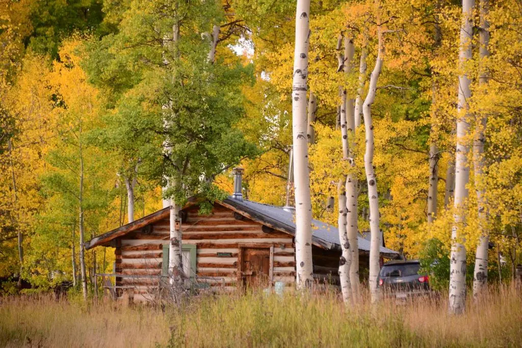photo 1 of The Cabins at Historic Columbine