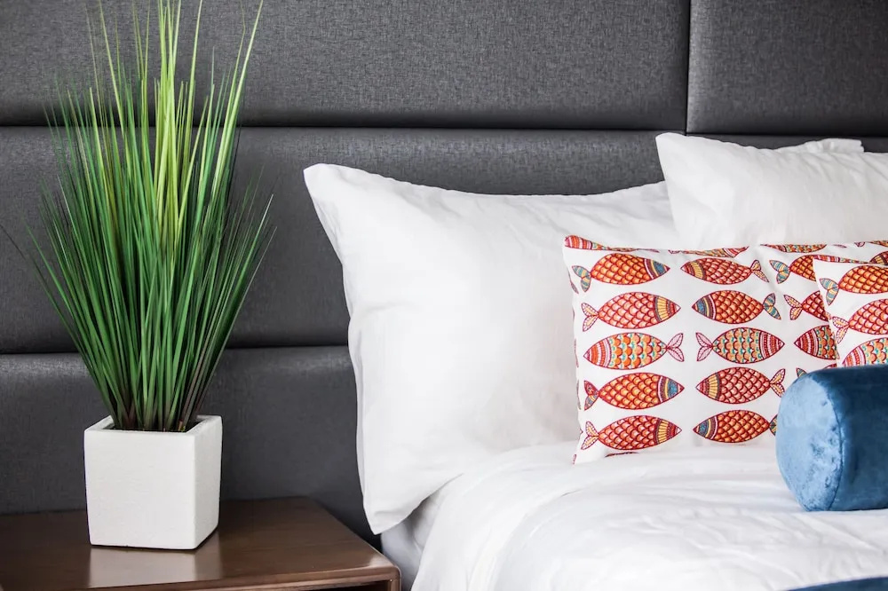 photo 1 of The Elmar Boutique Hotel