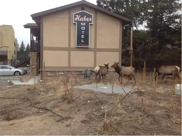 photo 1 of The Haber Motel