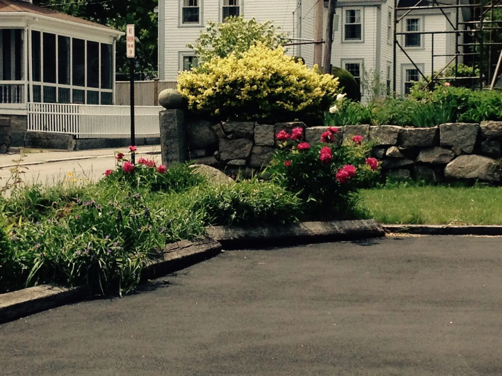 photo 1 of The Linden Tree Inn