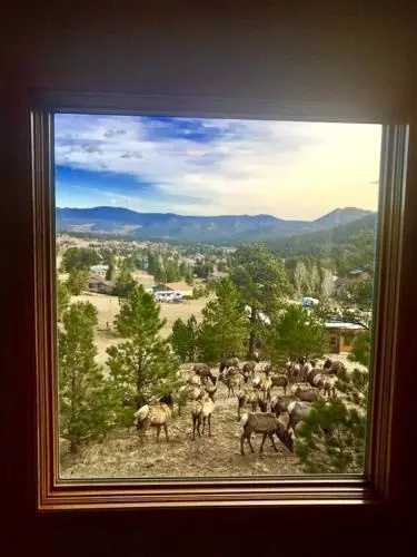 photo 1 of The View House