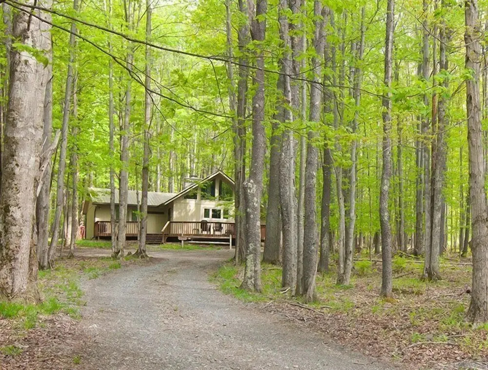 photo 1 of Timber Haus
