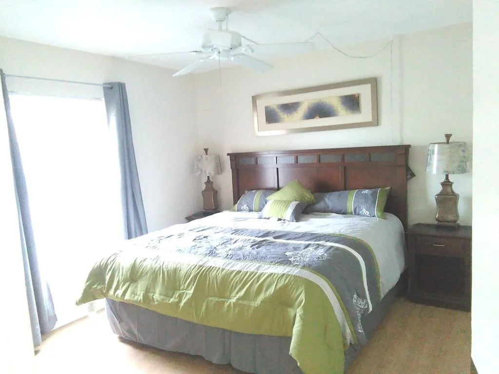 photo 1 of Tropical Dreams