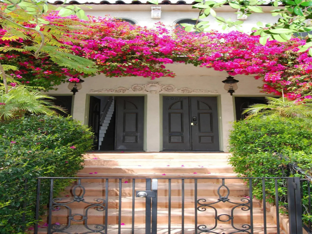 photo 1 of Villa Delle Stelle