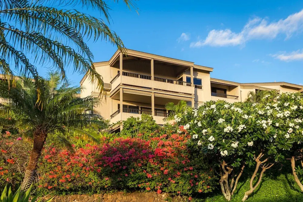 photo 1 of Wailea Ekolu #406