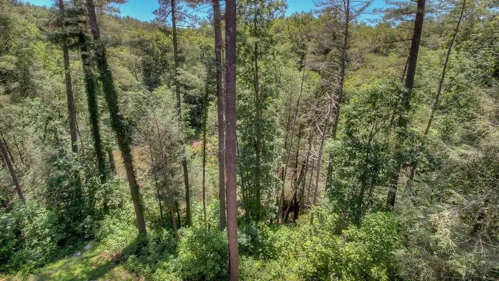 photo 1 of Whitewater Wilderness by Escape to Blue Ridge