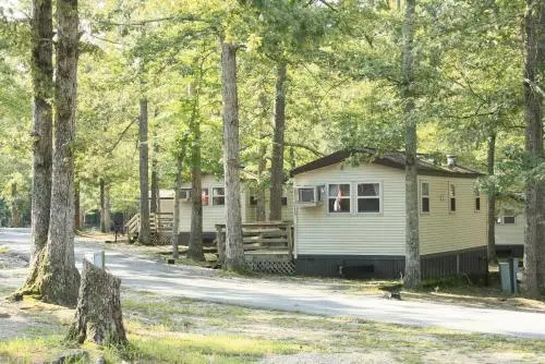 photo 1 of Williamsburg Camping Resort 38 ft. Park Model 2