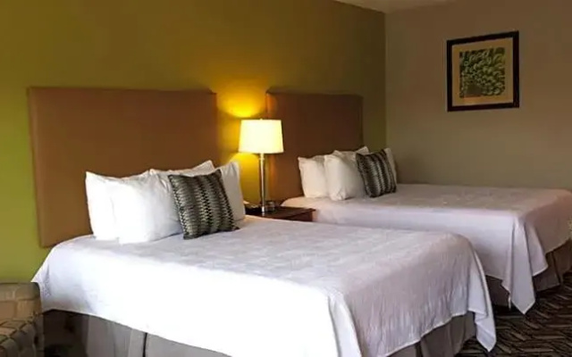 Standard room