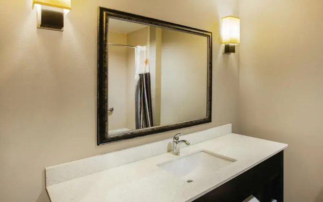 1 Bedroom Suite