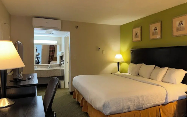 Standard Double Basement room