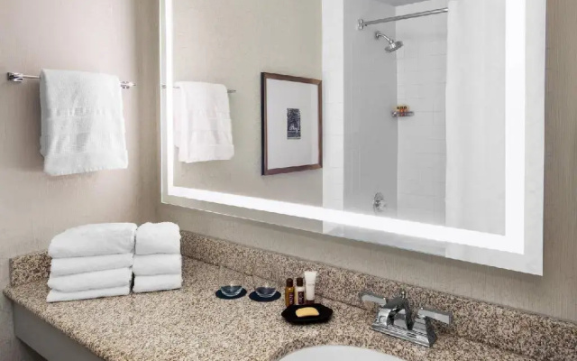 Standard Double Club room