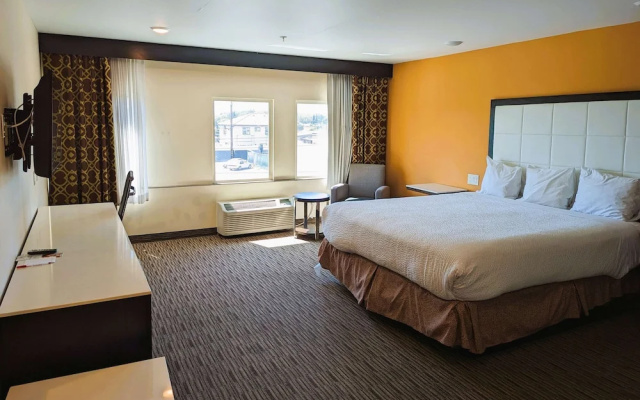 Business Double room