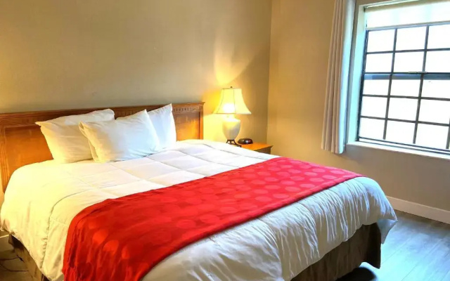 1 Bedroom Double Suite