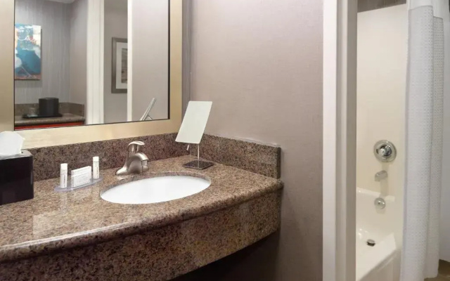 Executive Double Suite