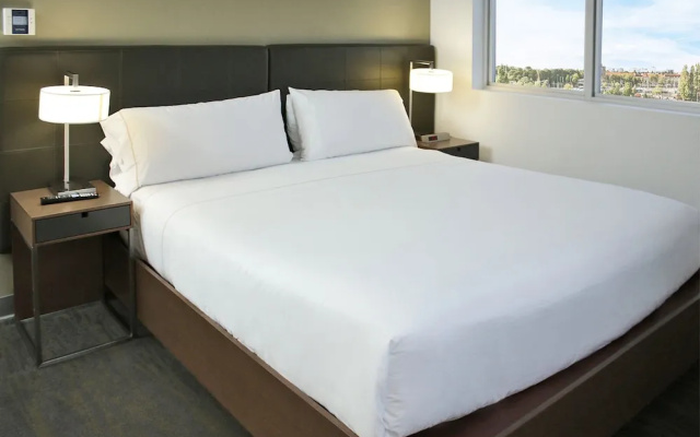 1 Bedroom Executive Suite
