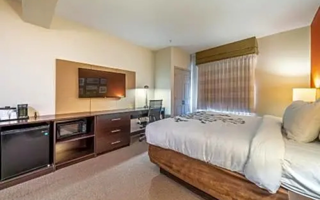 Standard Suite
