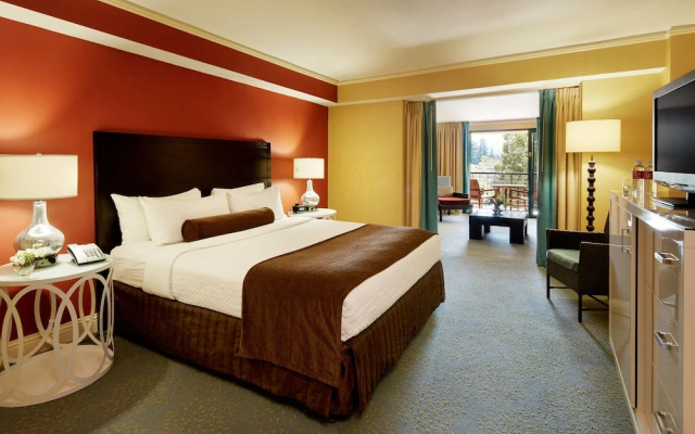 Premium Double room with pool view
