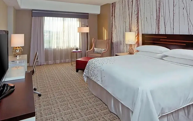 Standard room with park view