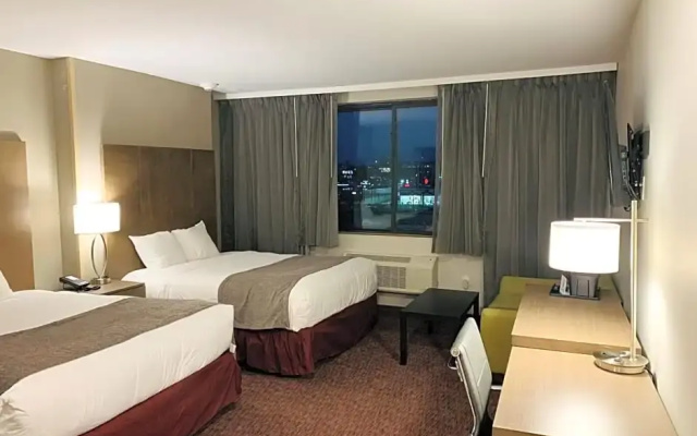 Suite