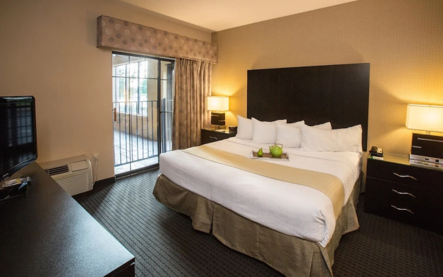 1 Bedroom Suite