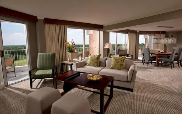 Superior Suite