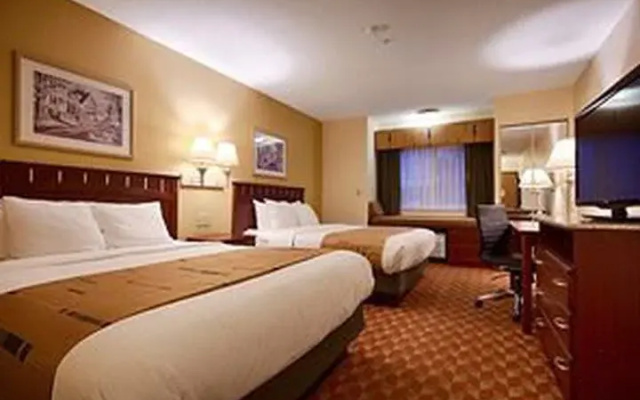 Standard Suite