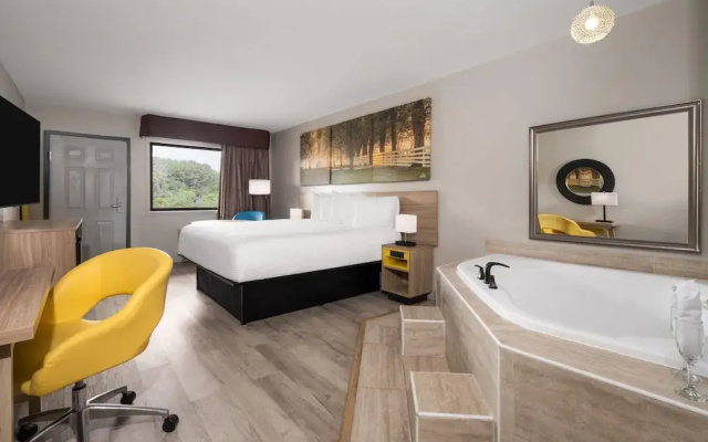 Double Studio Suite