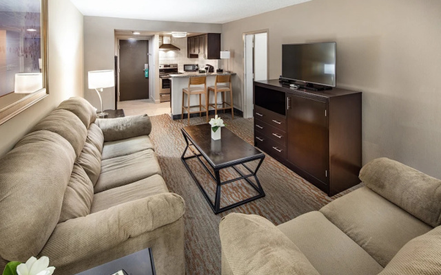 1 Bedroom Suite