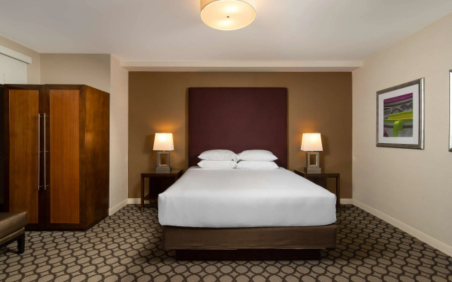 1 Bedroom Suite