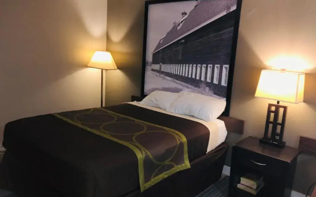 Standard room