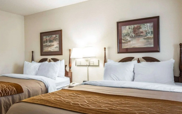 Standard Quadruple room
