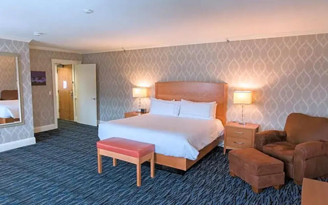 1 Bedroom Premium Double Suite