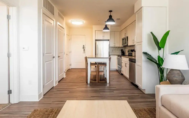 1 Bedroom Apartment
