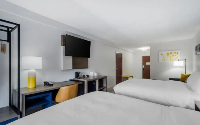 Quadruple Suite