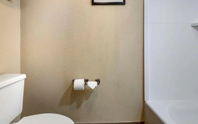 1 Bedroom Suite