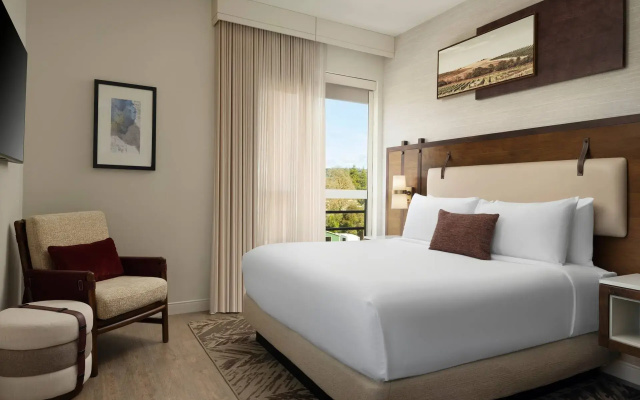 1 Bedroom Double Suite with balcony