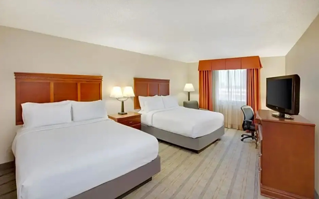 1 Bedroom Suite