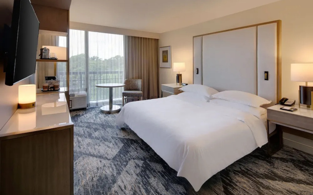 Deluxe Double room with balcony