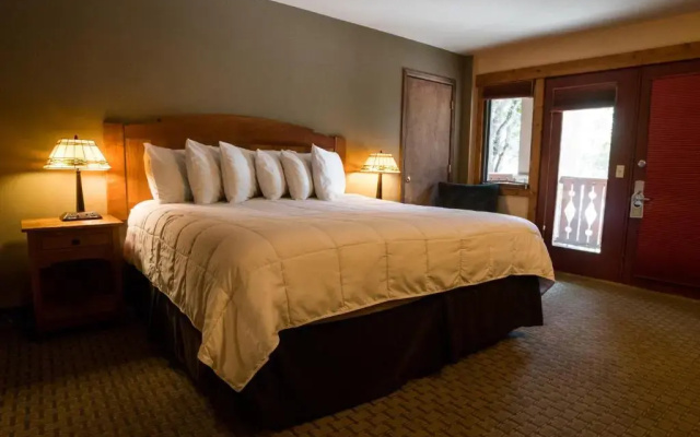 Standard room with view