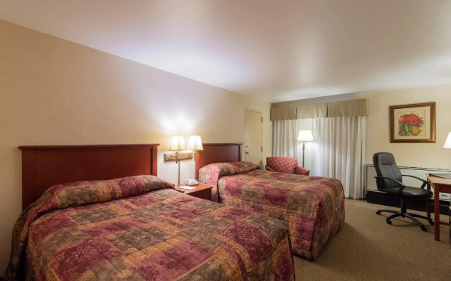 Standard Double room with courtyard view