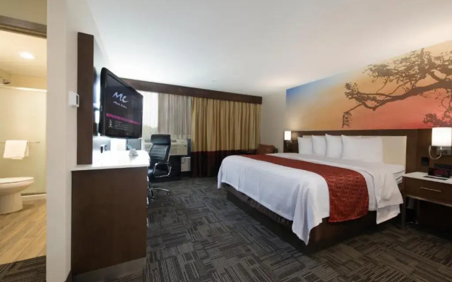 Standard Double room with pool view