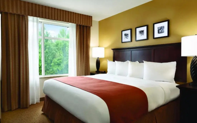 1 Bedroom Suite